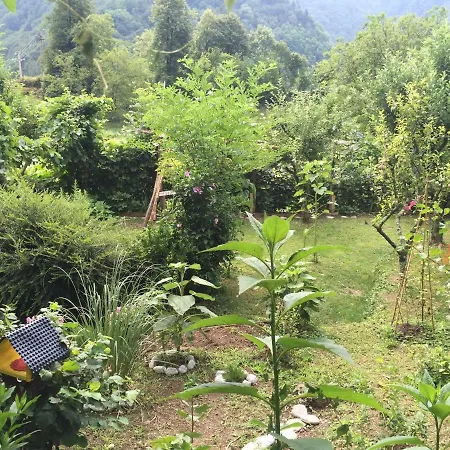 Apartma Tereza شقة موست نا سوتشي